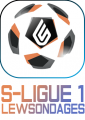 SL1 logo 17-20.png