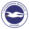 Futagoshima seagulls.png