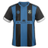 Maillot home2019.png